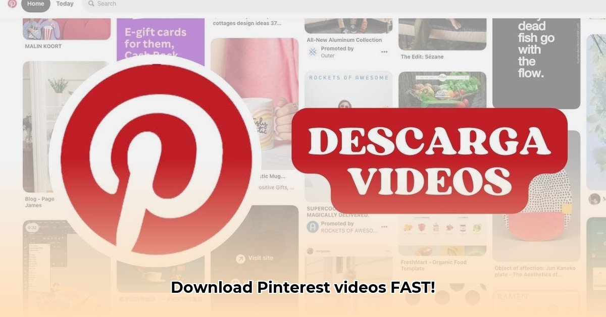 Download Pinterest Videos Fast: MP4 in Seconds | Descargar Videos De ...